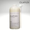 hap-phuc-hoi-olaplex-no2