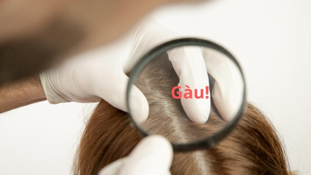 tri-gau-va-ngan-ngua-gau-voi-dau-goi-davines